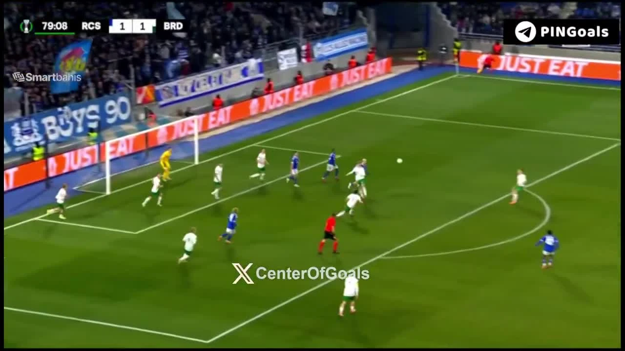 zaslepka skrotu video