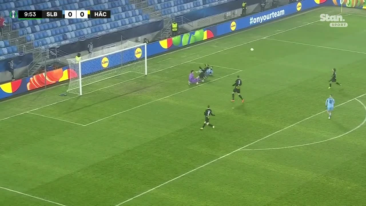 zaslepka skrotu video