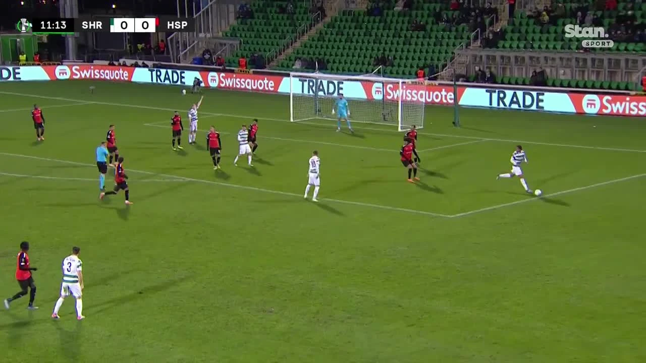 zaslepka skrotu video