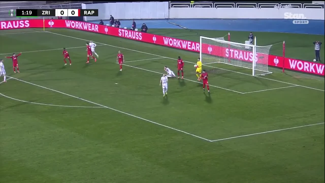 zaslepka skrotu video