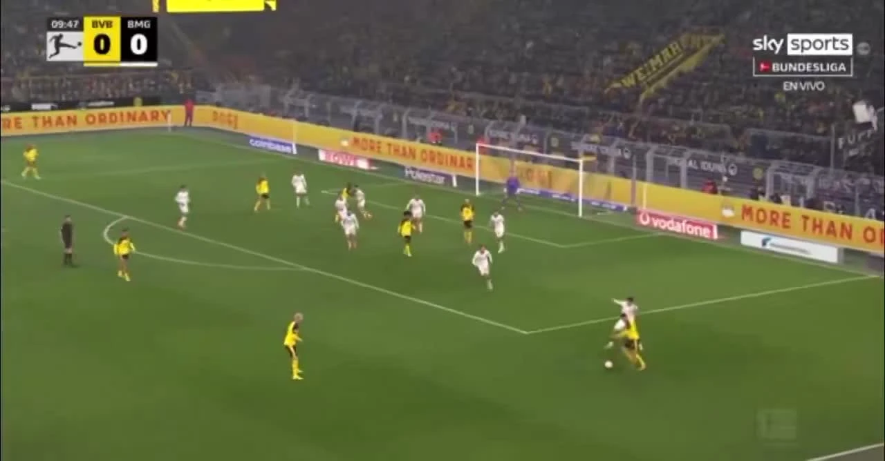 zaslepka skrotu video