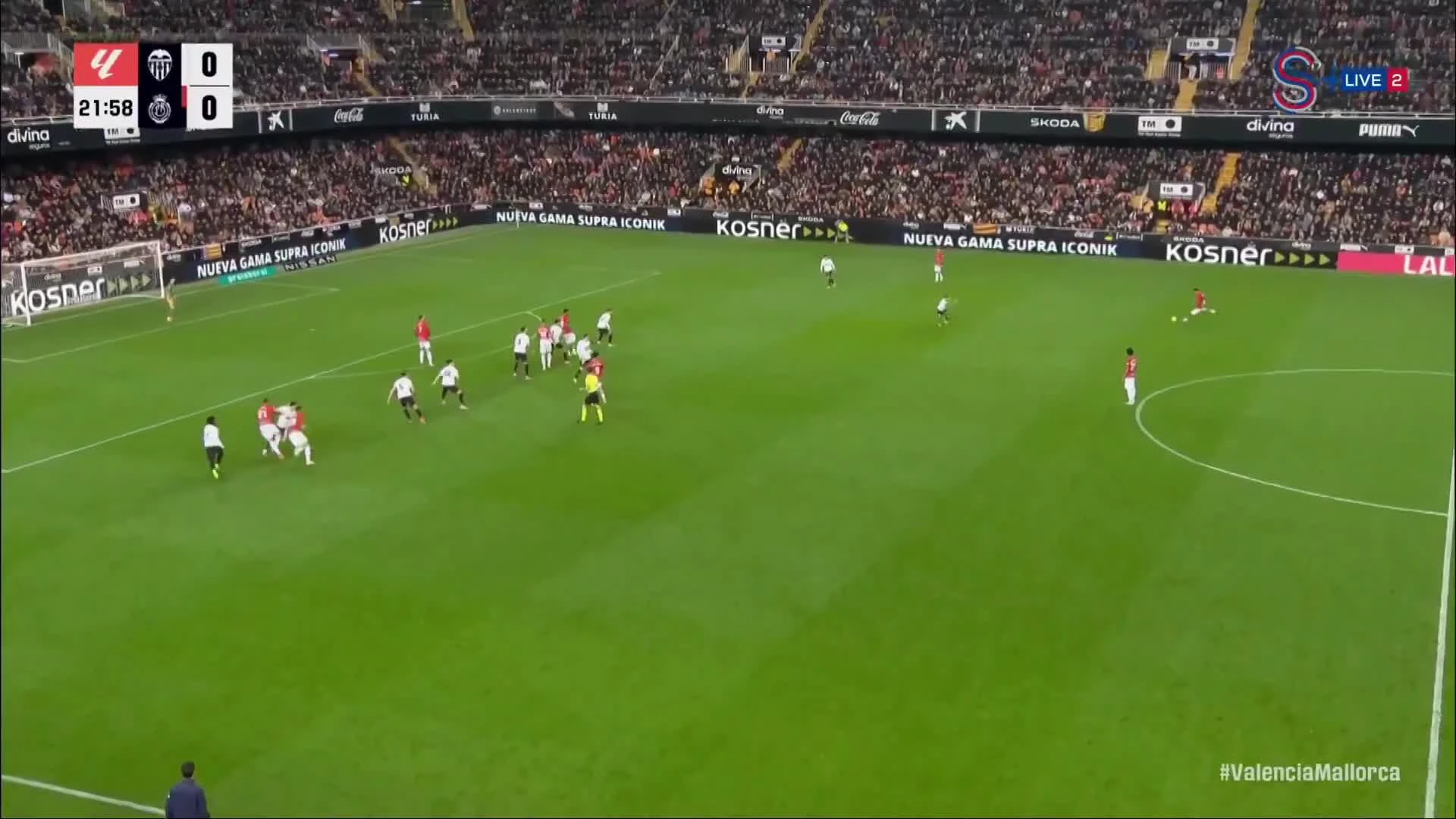 zaslepka skrotu video