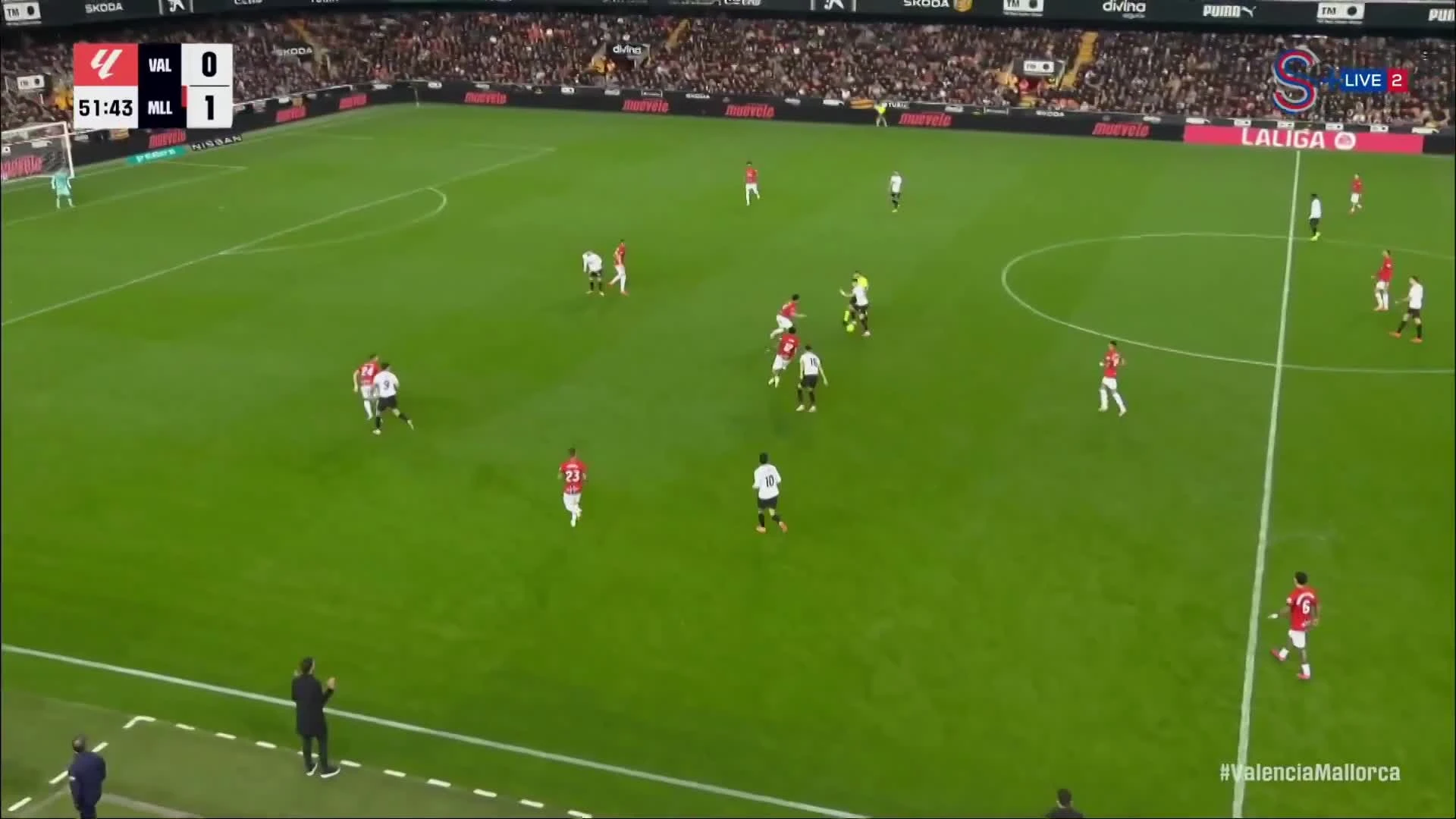 zaslepka skrotu video