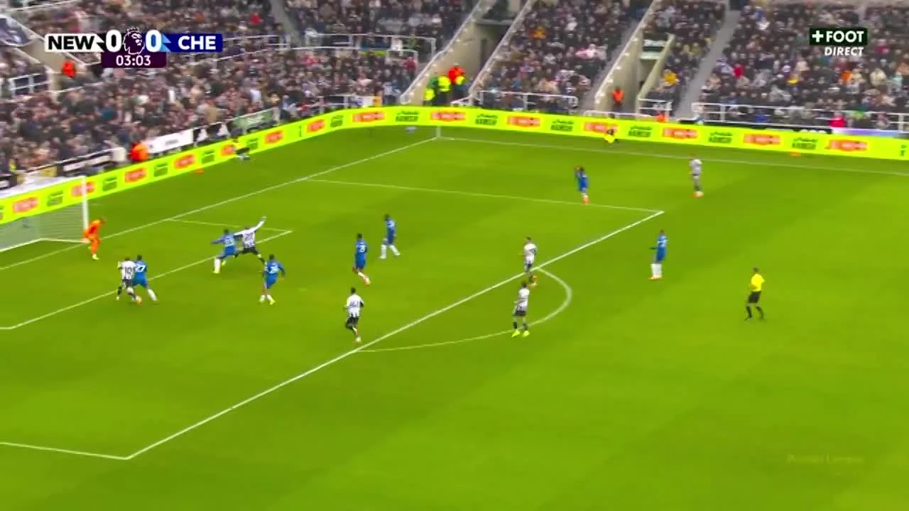 zaslepka skrotu video