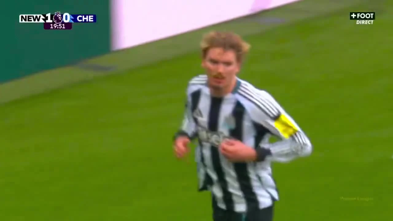 zaslepka skrotu video