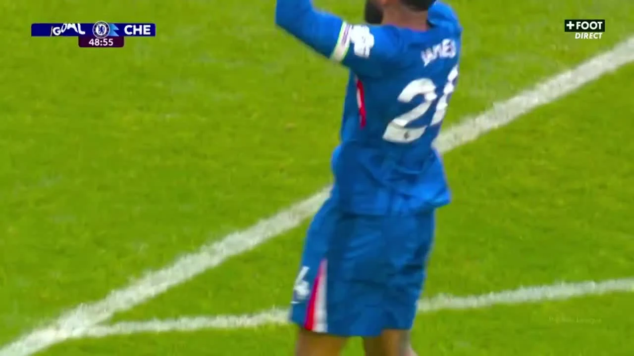 zaslepka skrotu video