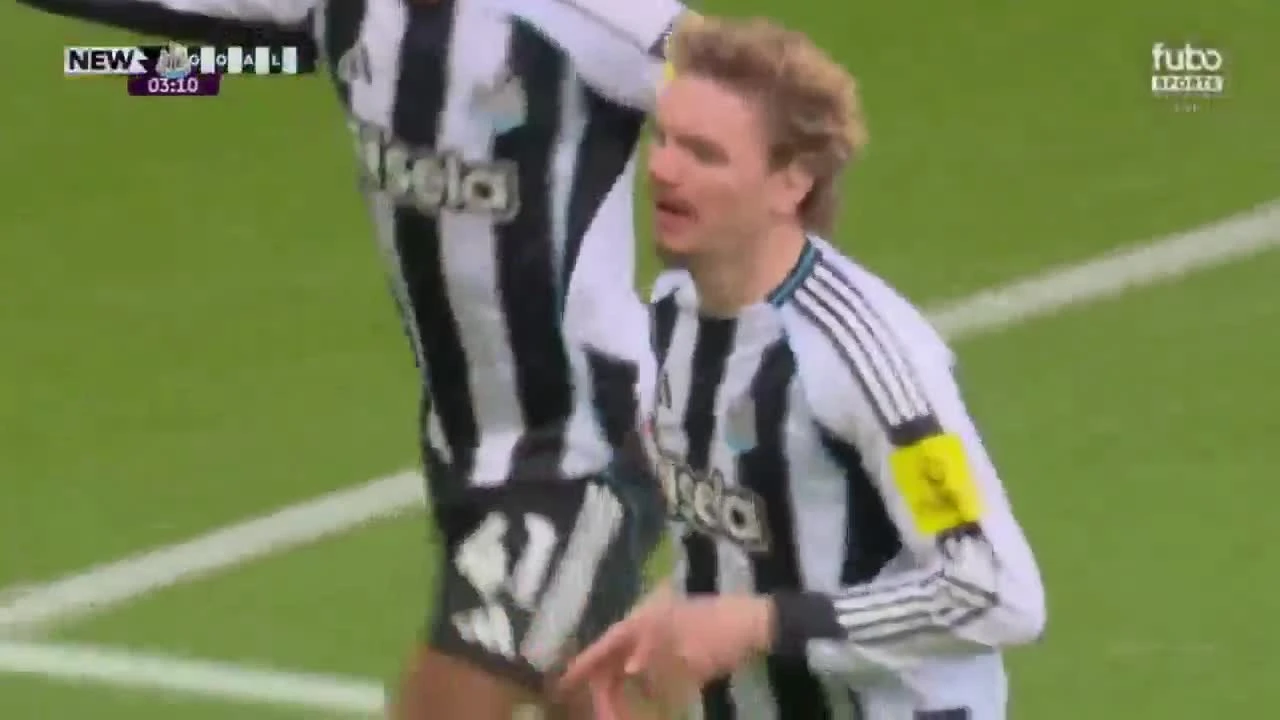 zaslepka skrotu video