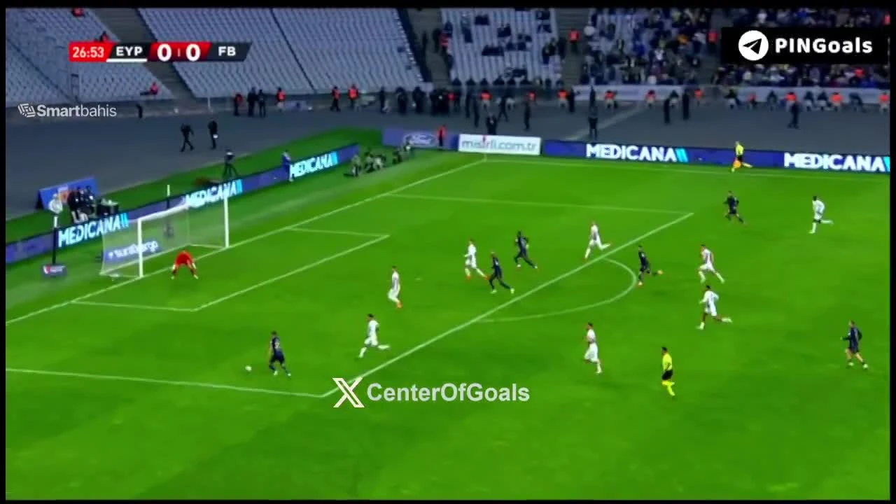 zaslepka skrotu video