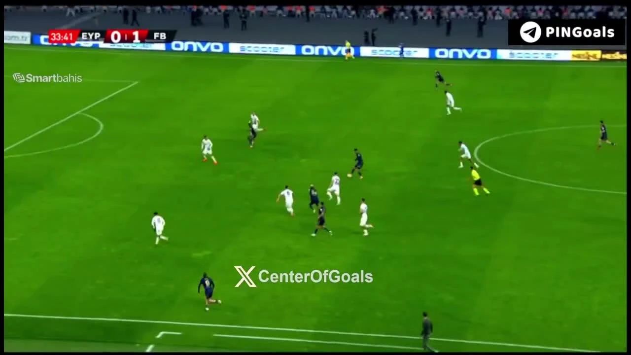 zaslepka skrotu video