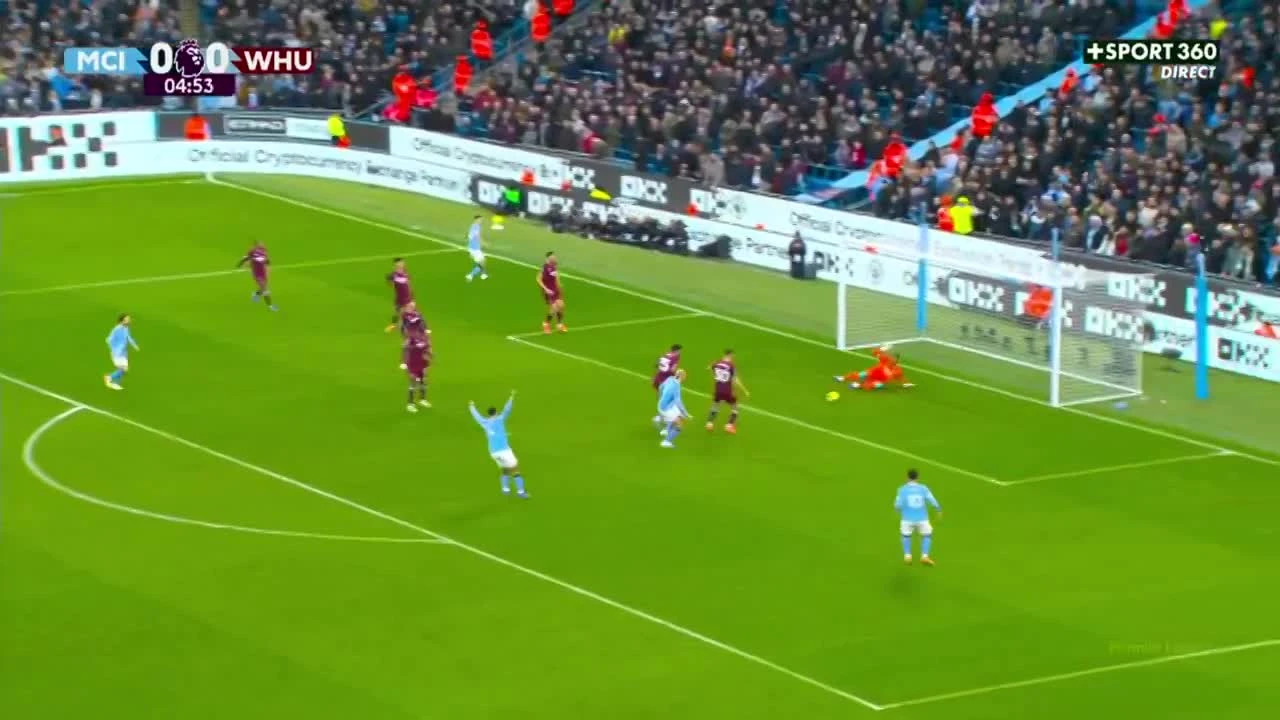 zaslepka skrotu video