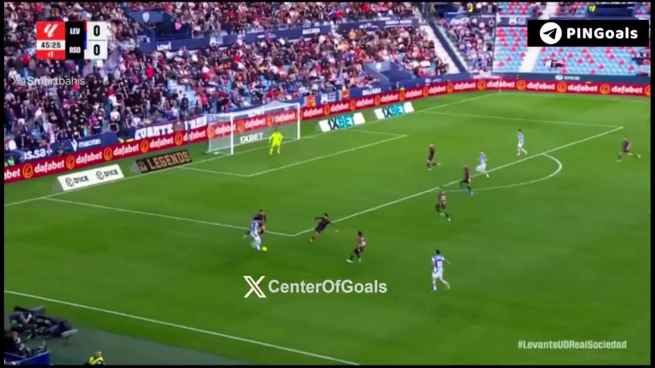 zaslepka skrotu video