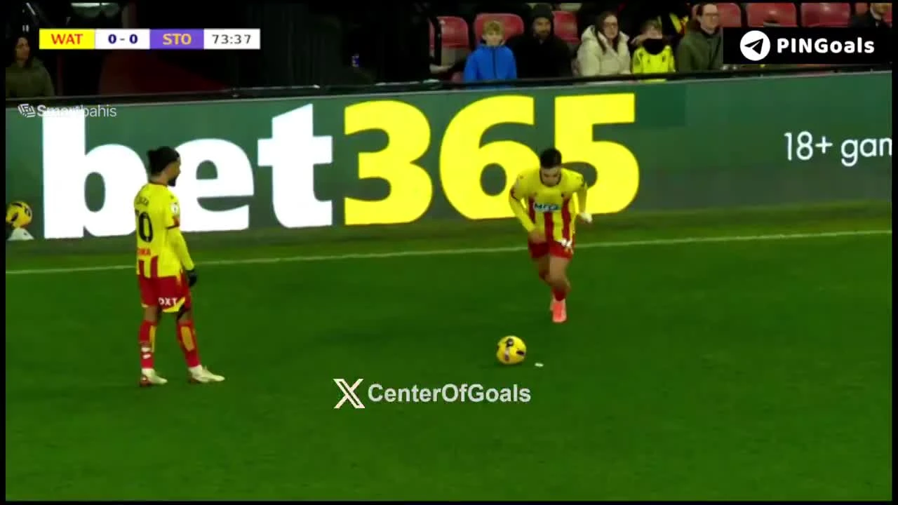 zaslepka skrotu video