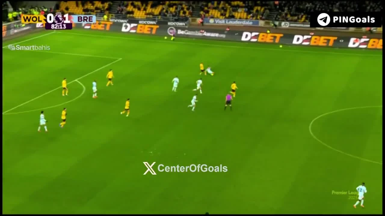 zaslepka skrotu video