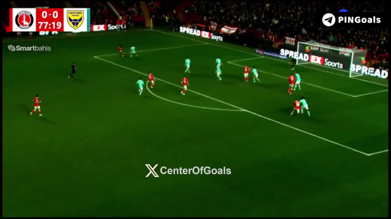 zaslepka skrotu video