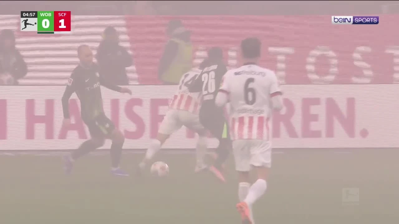 zaslepka skrotu video