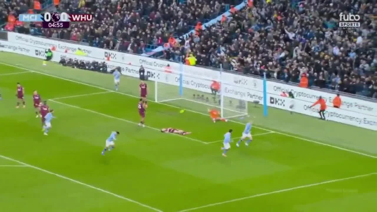 zaslepka skrotu video