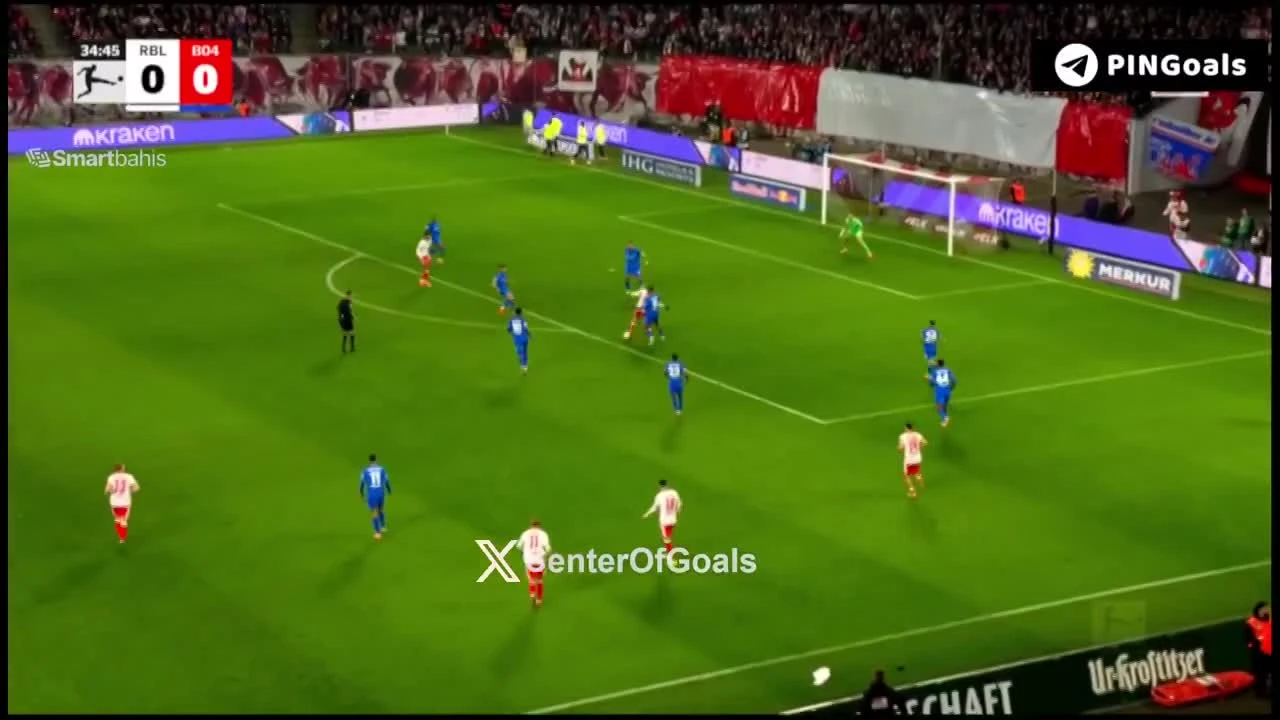 zaslepka skrotu video