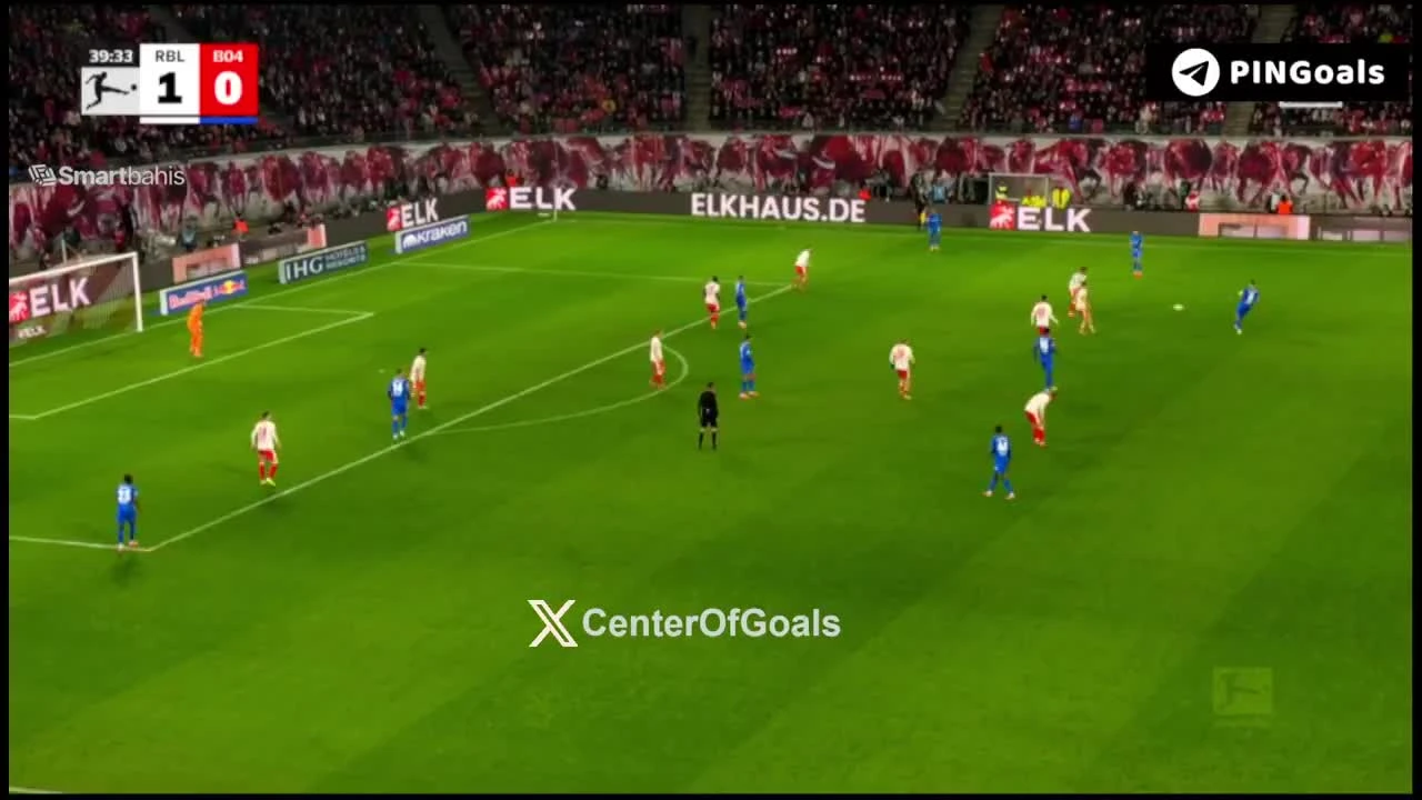 zaslepka skrotu video