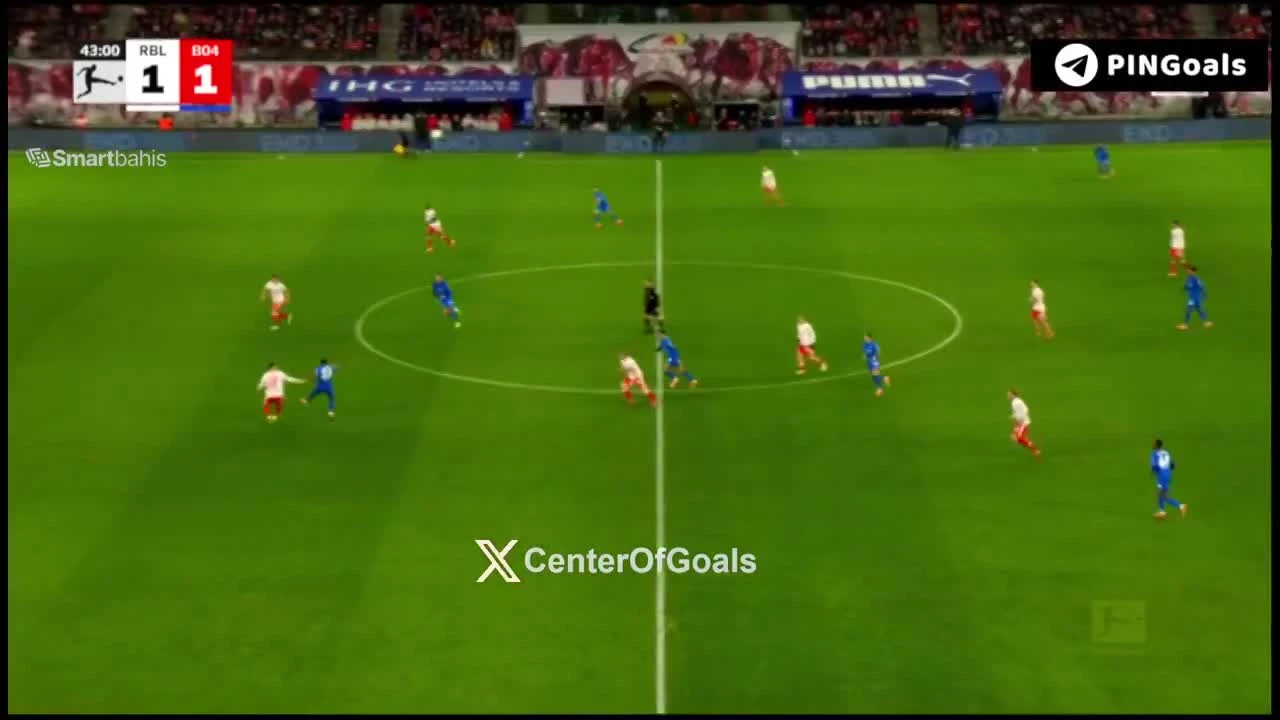 zaslepka skrotu video