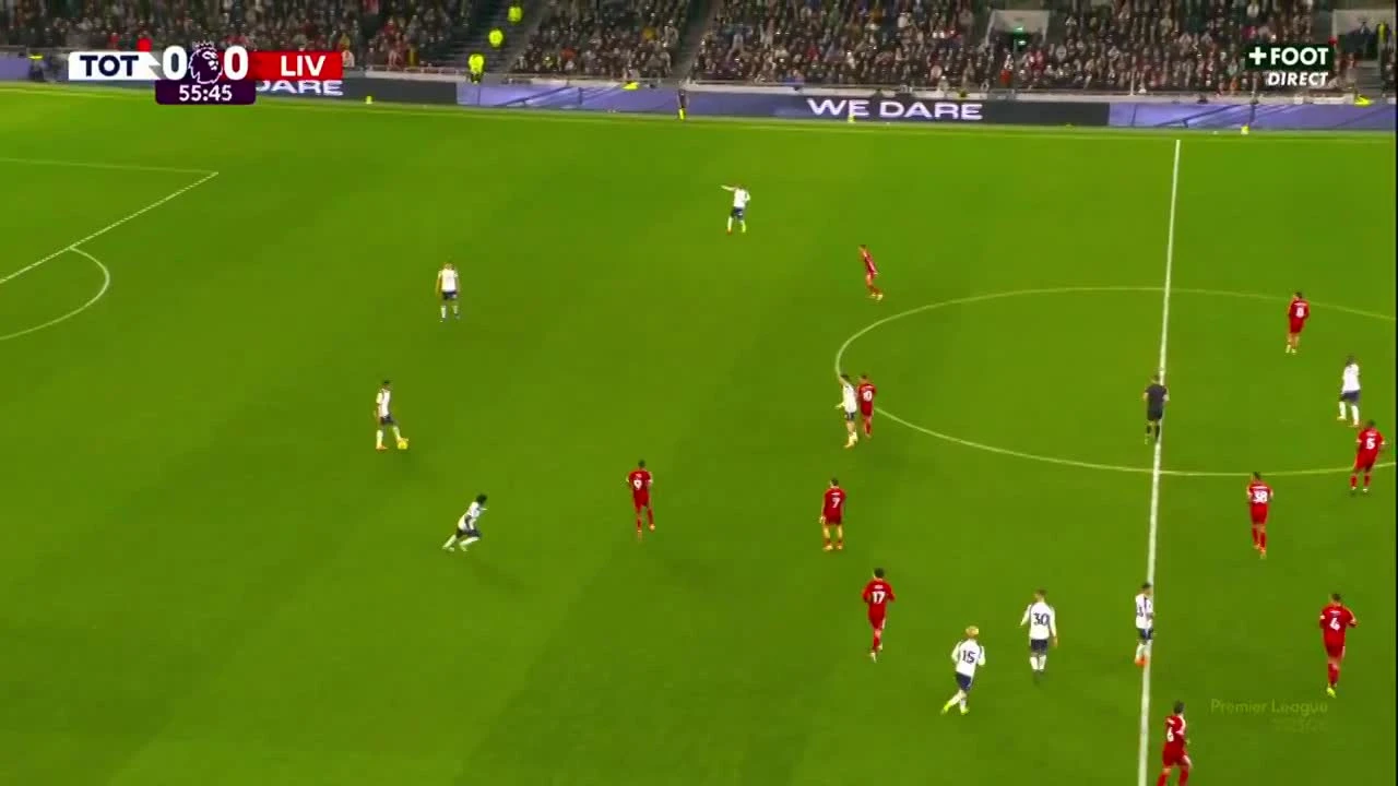 zaslepka skrotu video