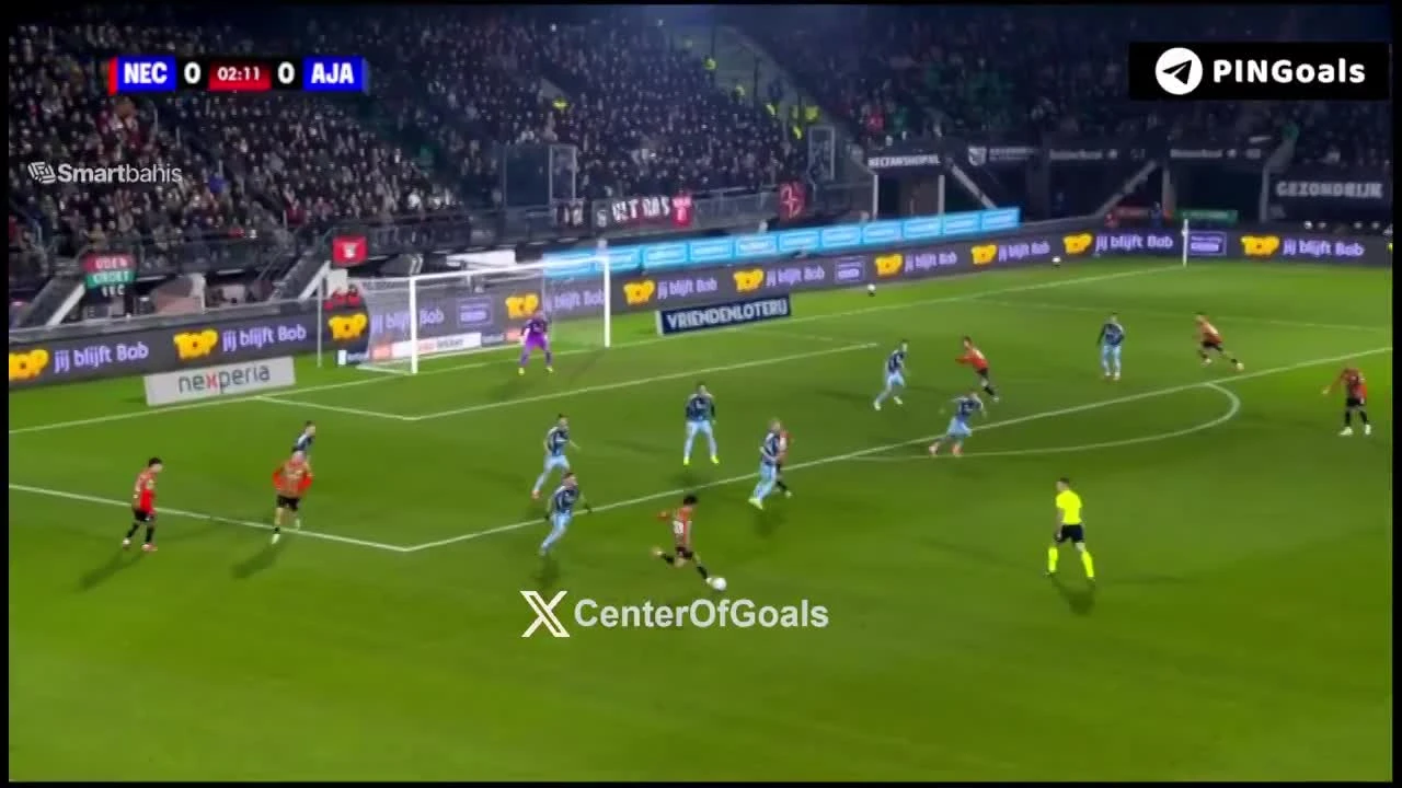 zaslepka skrotu video