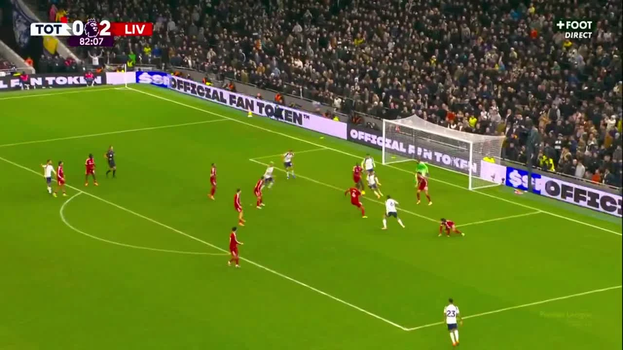 zaslepka skrotu video