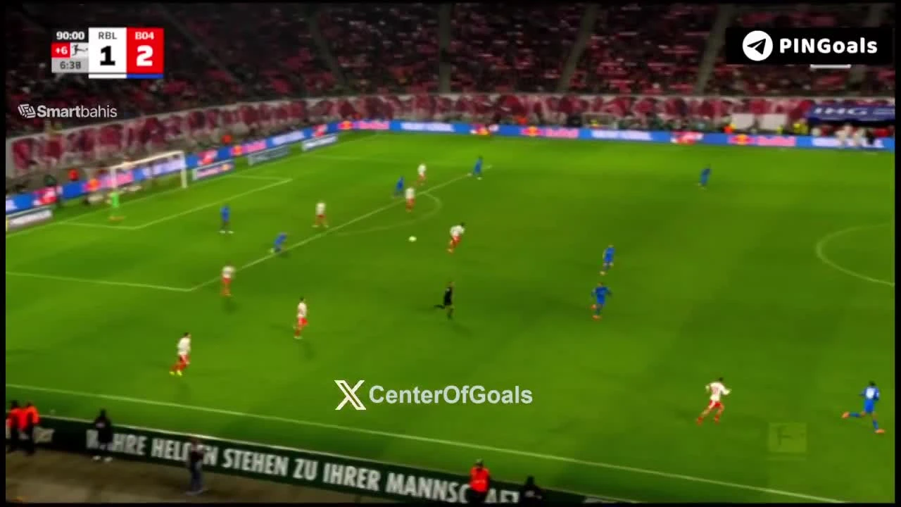 zaslepka skrotu video