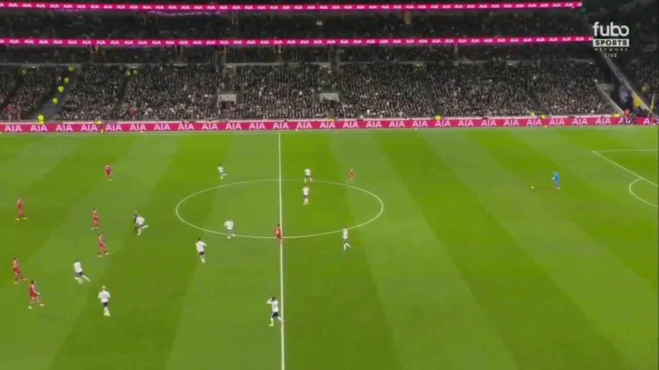 zaslepka skrotu video