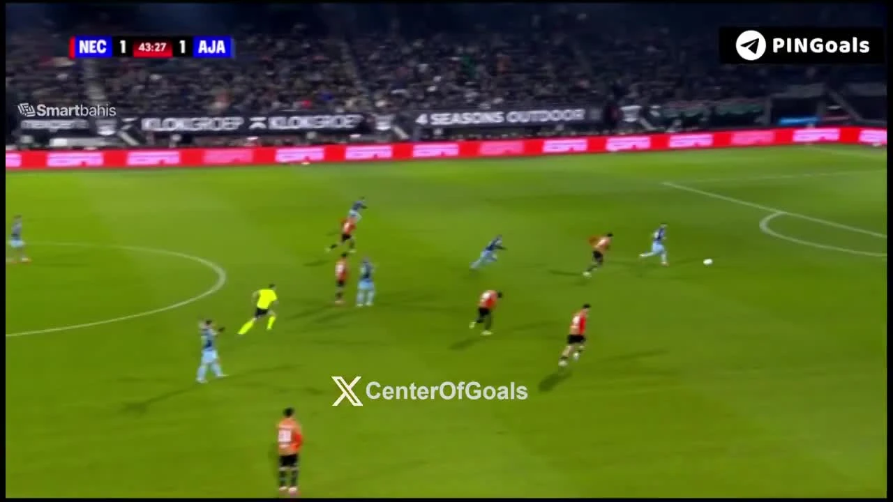 zaslepka skrotu video