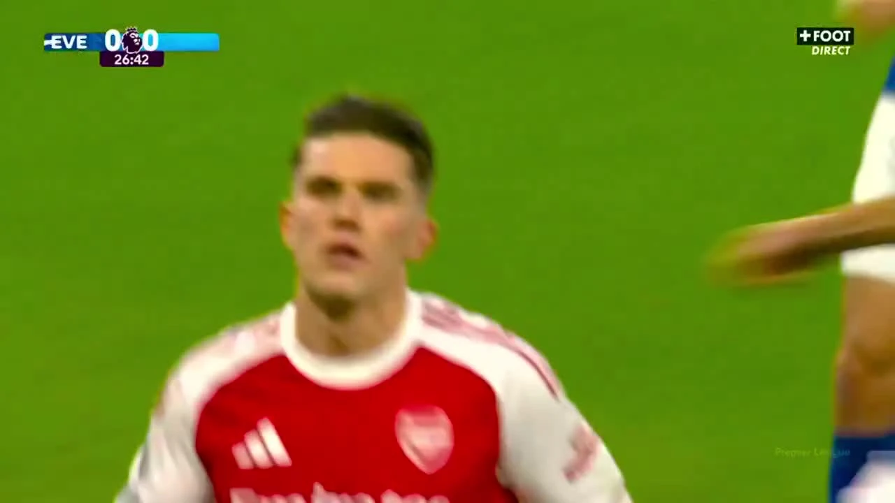 zaslepka skrotu video