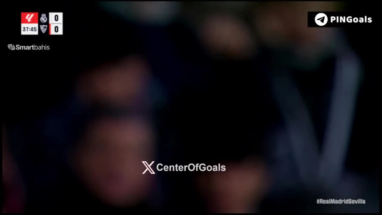 zaslepka skrotu video