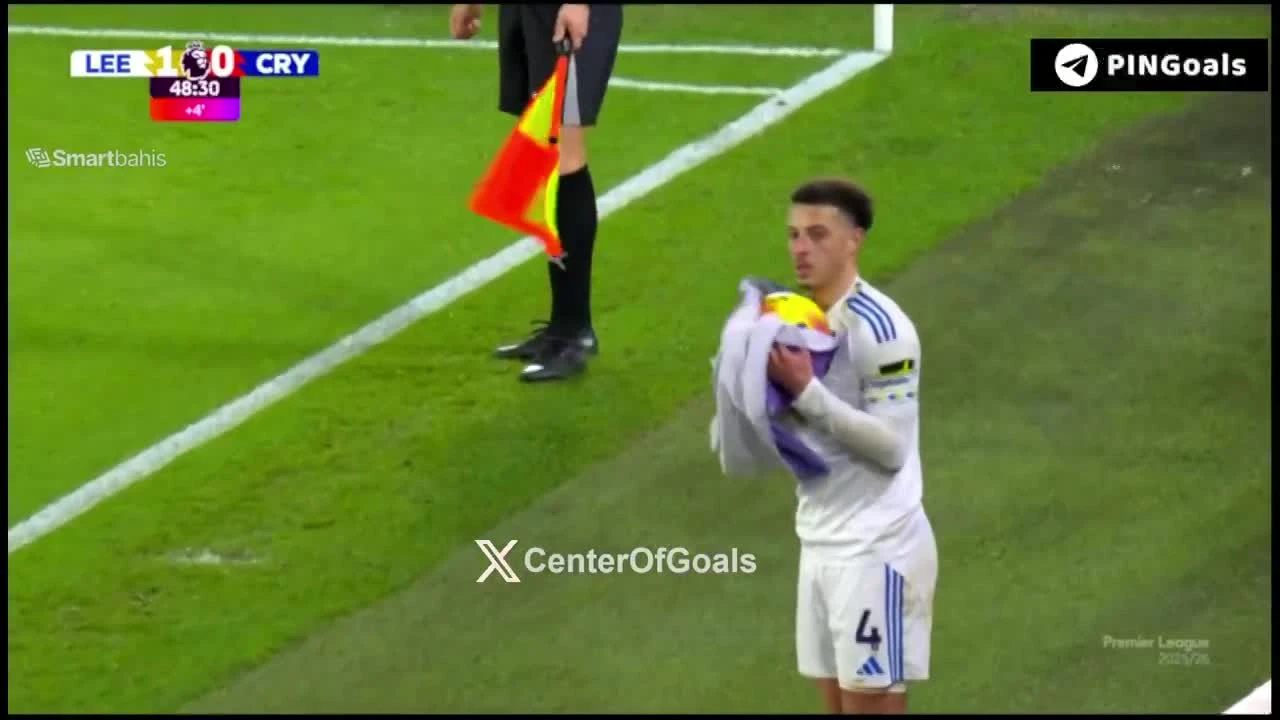 zaslepka skrotu video