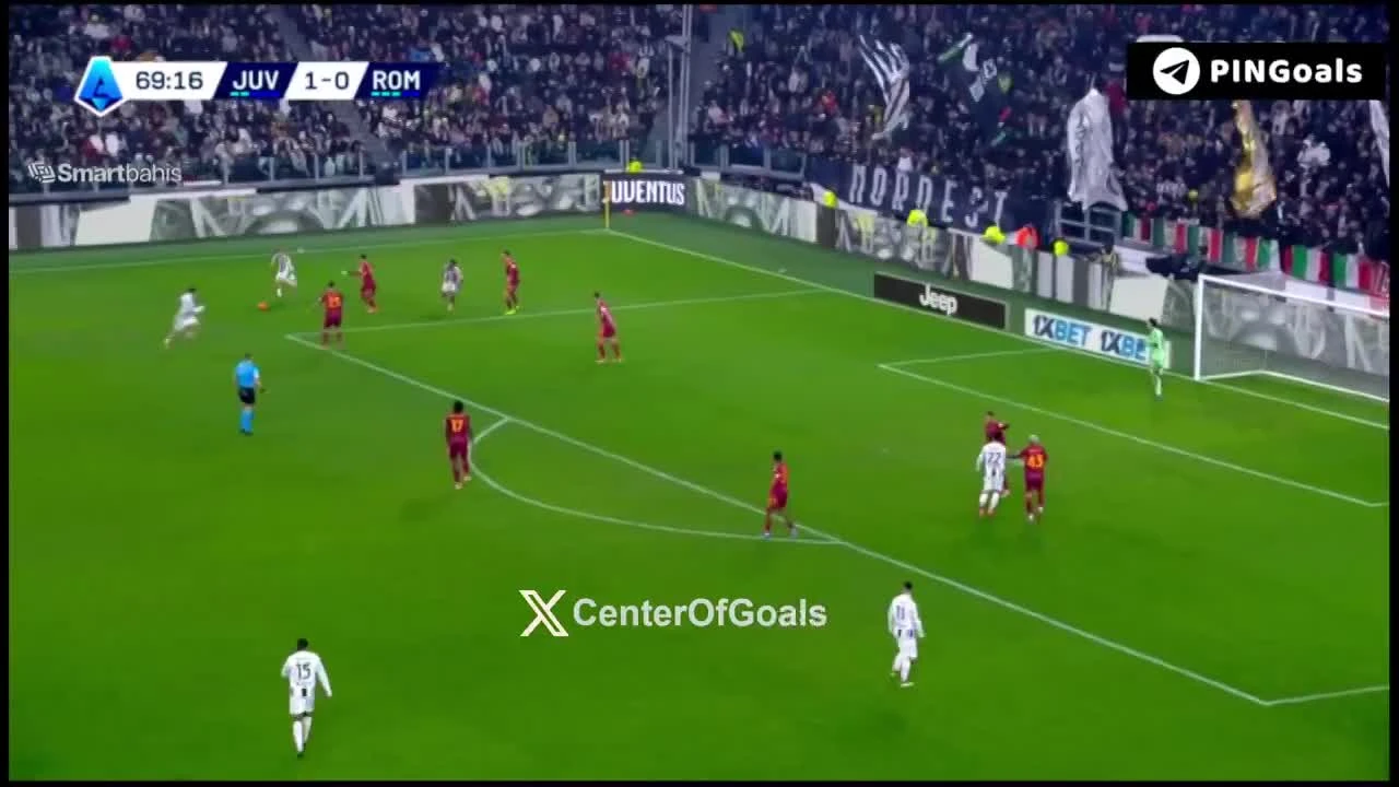 zaslepka skrotu video