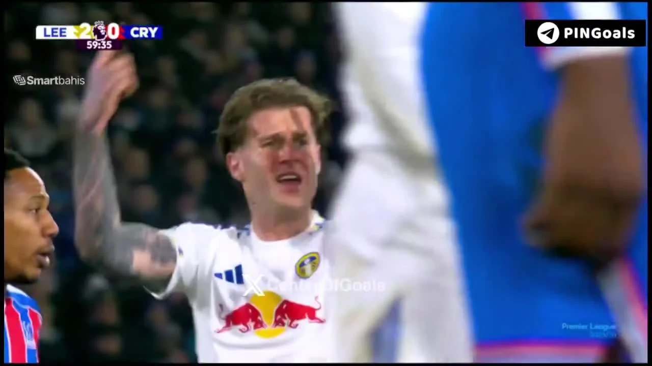 zaslepka skrotu video