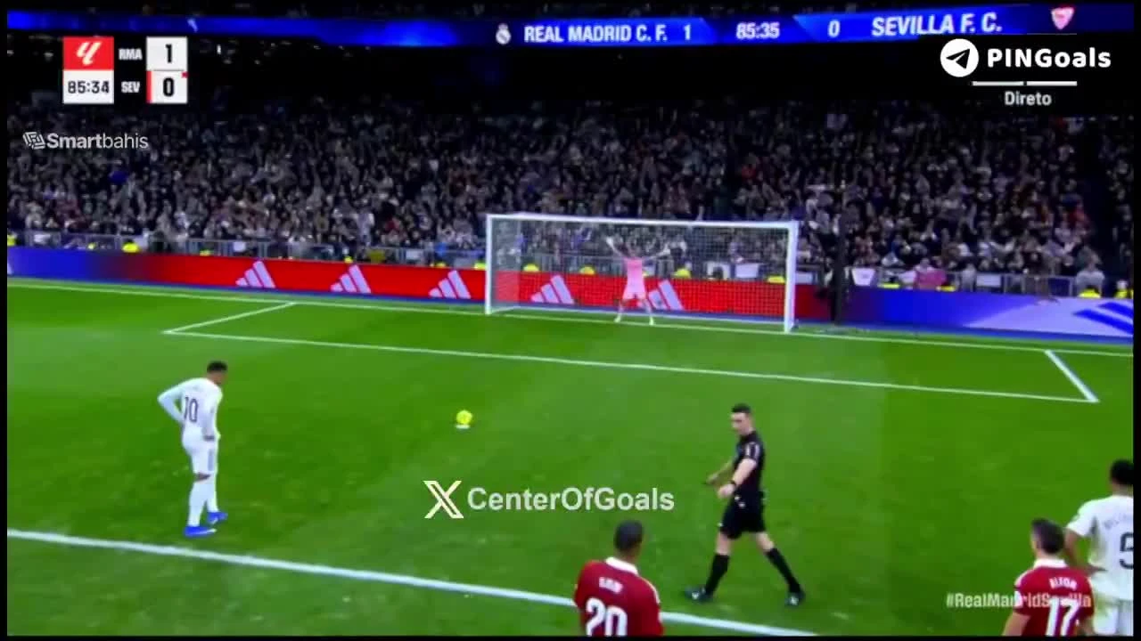 zaslepka skrotu video