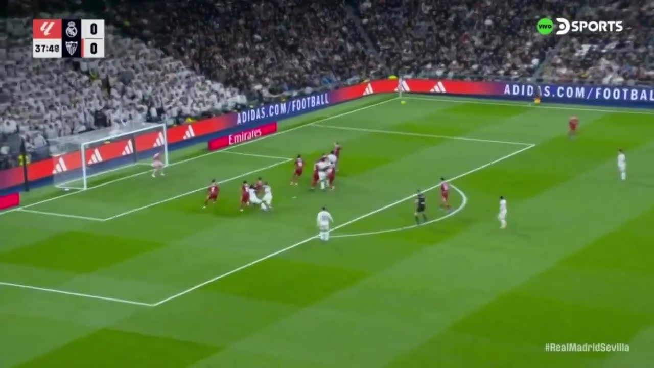 zaslepka skrotu video