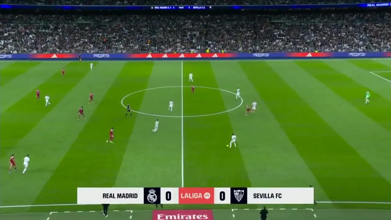 zaslepka skrotu video