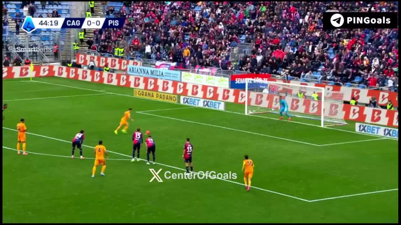 zaslepka skrotu video