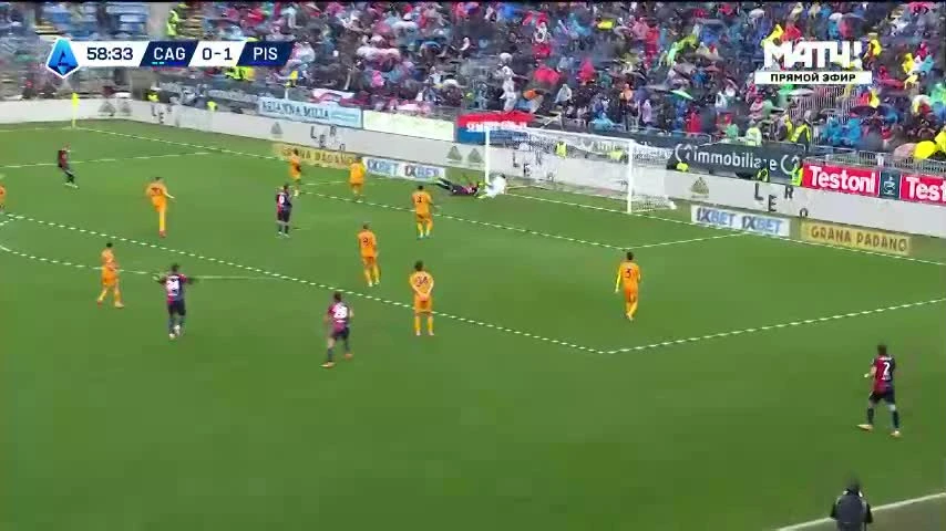 zaslepka skrotu video