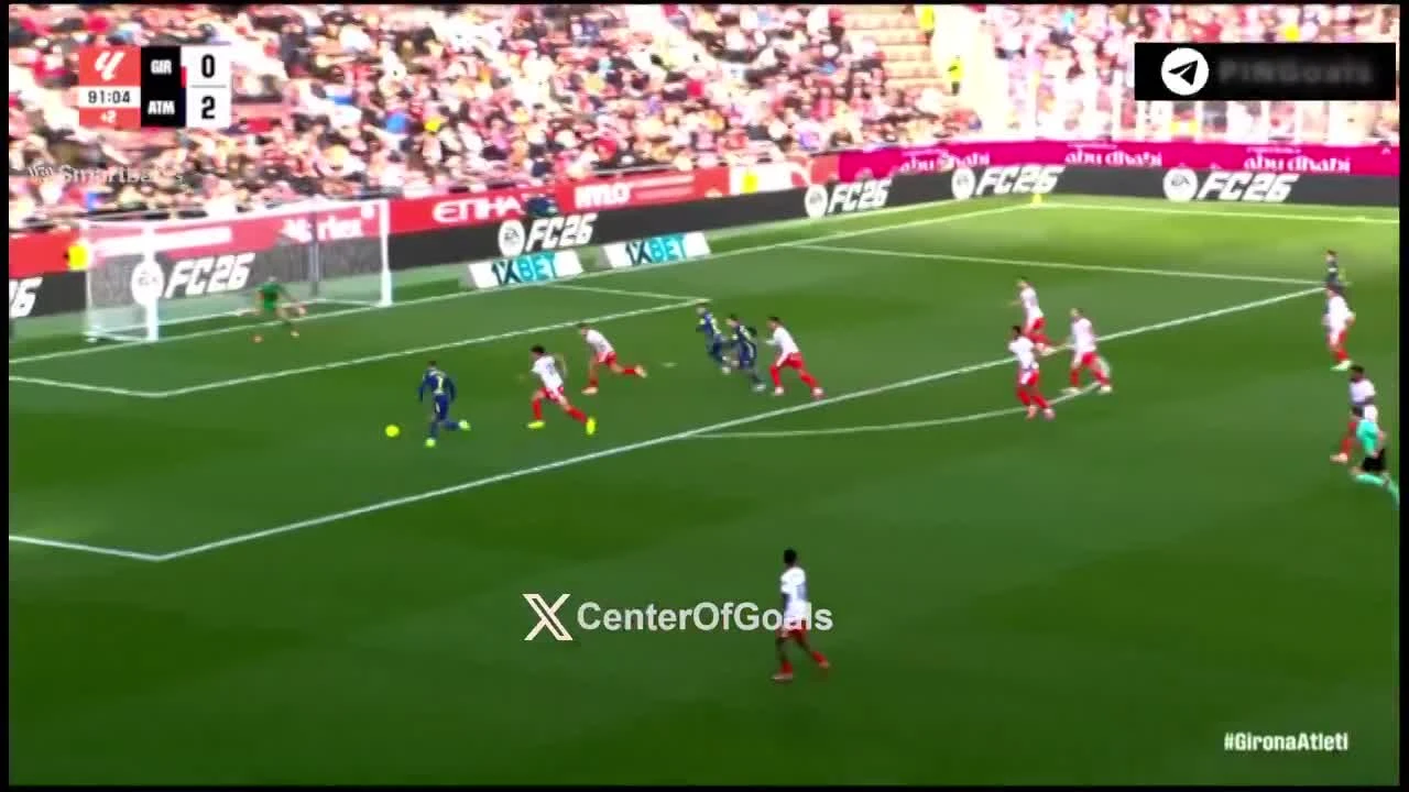 zaslepka skrotu video