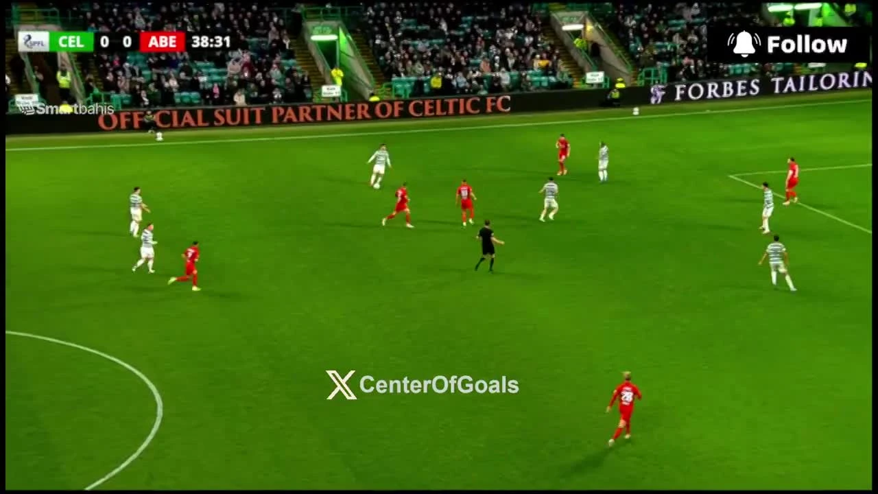 zaslepka skrotu video