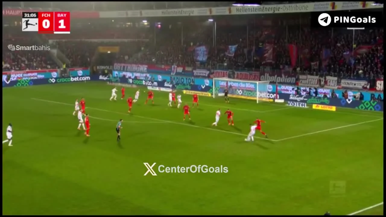 zaslepka skrotu video