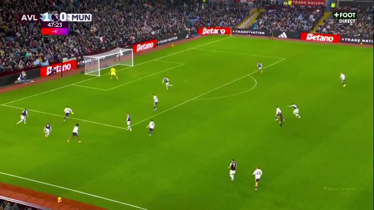 zaslepka skrotu video