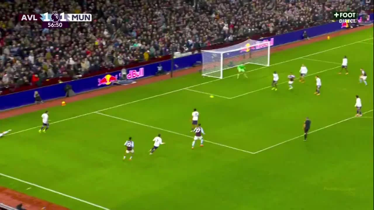 zaslepka skrotu video