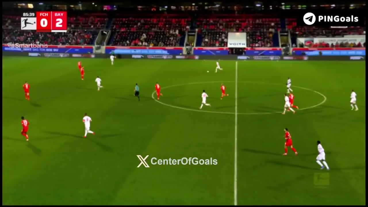 zaslepka skrotu video