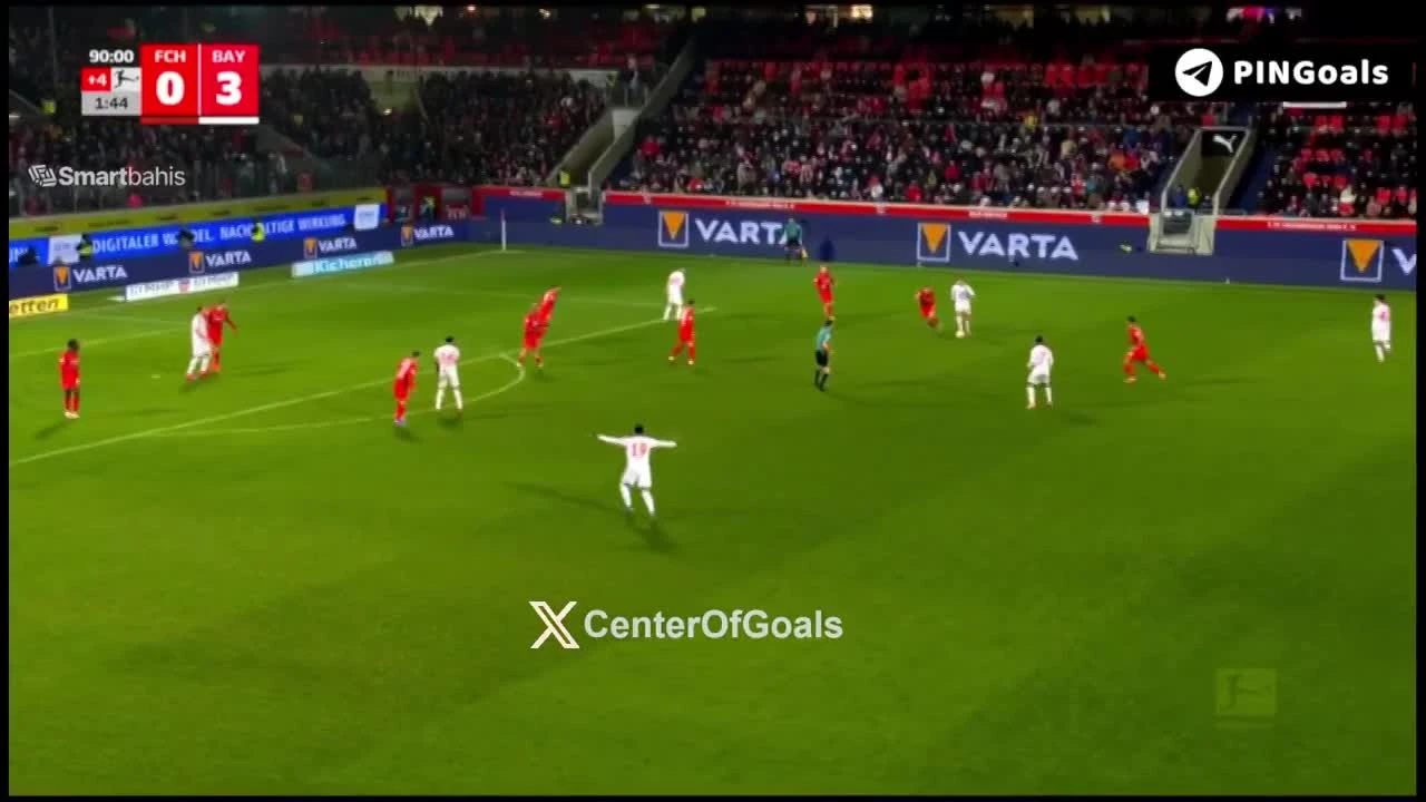 zaslepka skrotu video