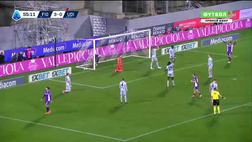 zaslepka skrotu video