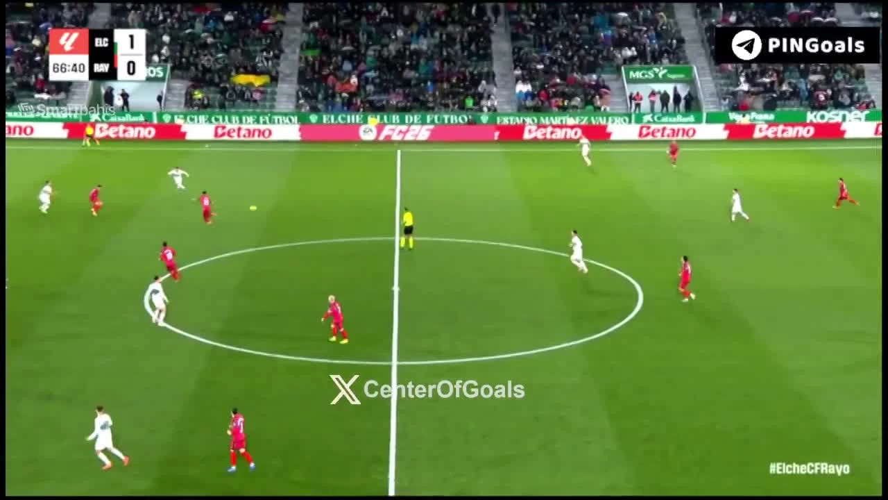 zaslepka skrotu video