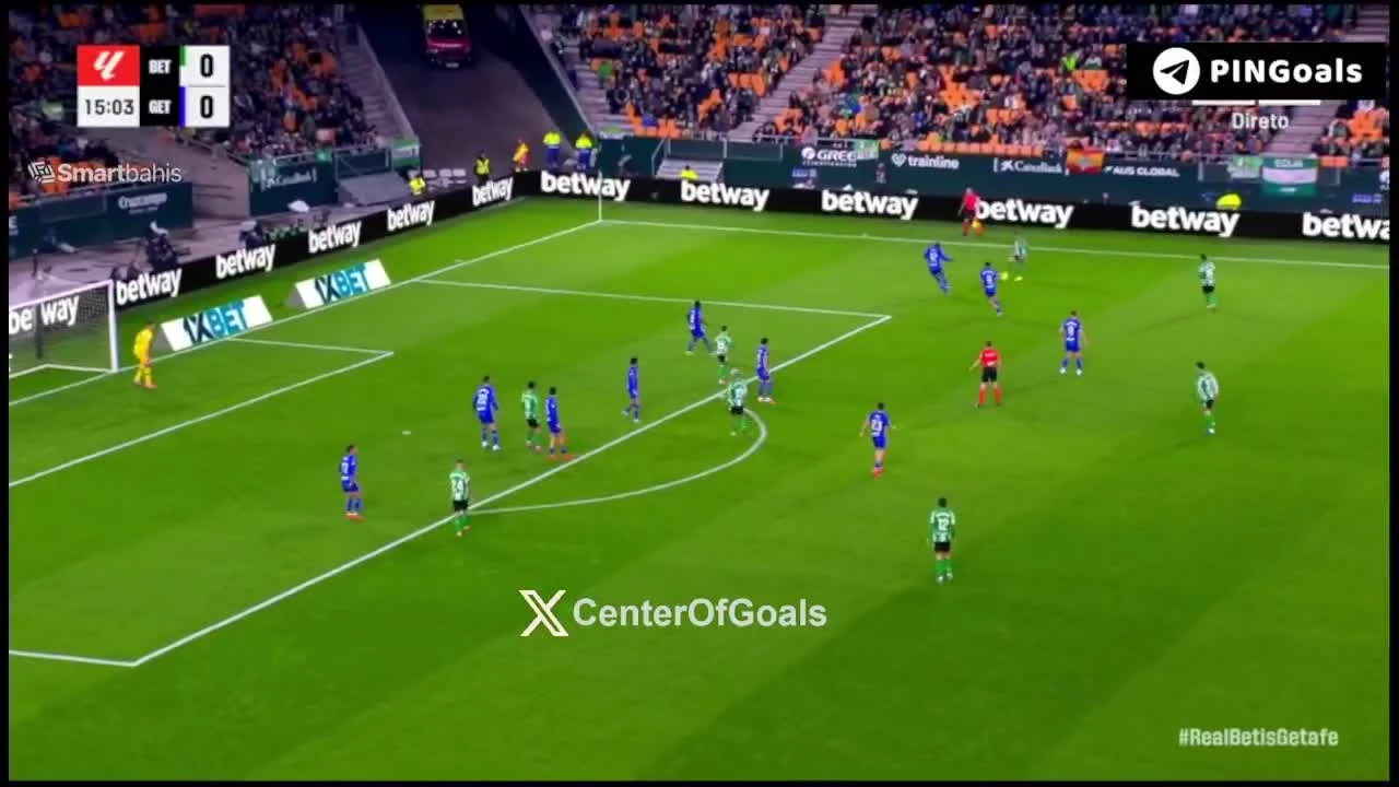 zaslepka skrotu video