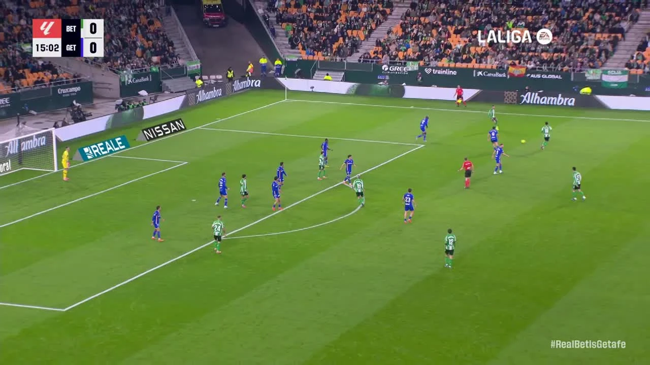 zaslepka skrotu video